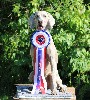  - Championnat de France à Montluçon