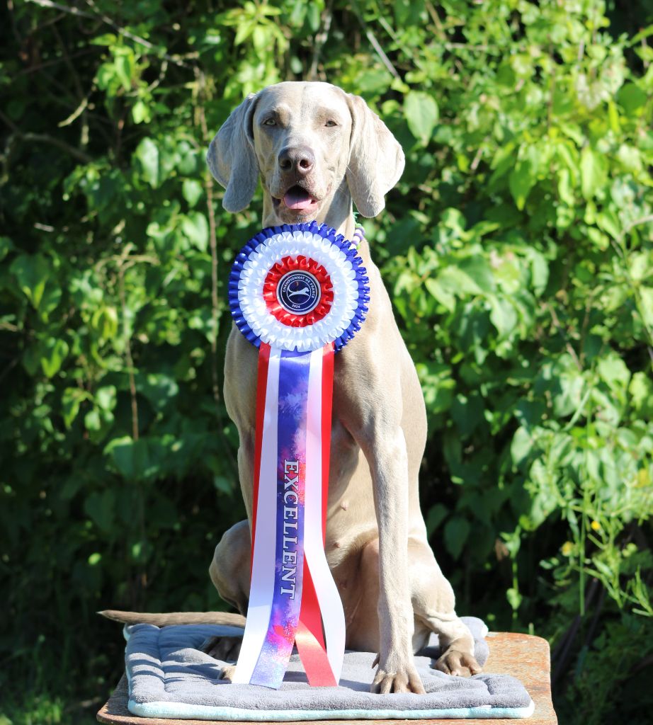 Balboa Sylver - Championnat de France à Montluçon