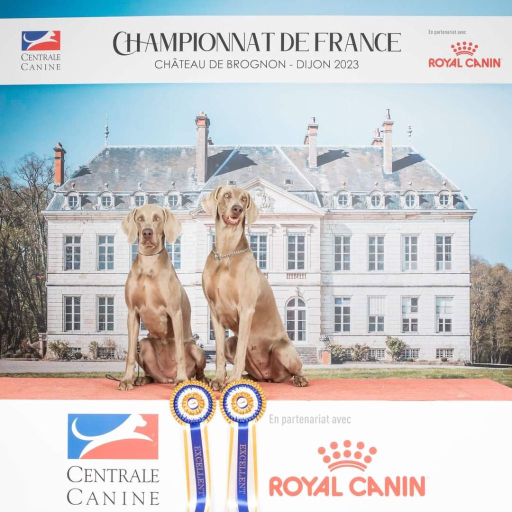 Balboa Sylver - Championnat de France entre mère et fille