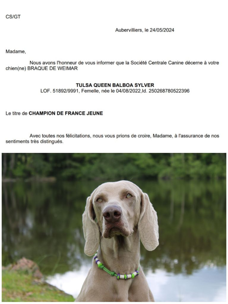 Balboa Sylver - Championne de France Jeune